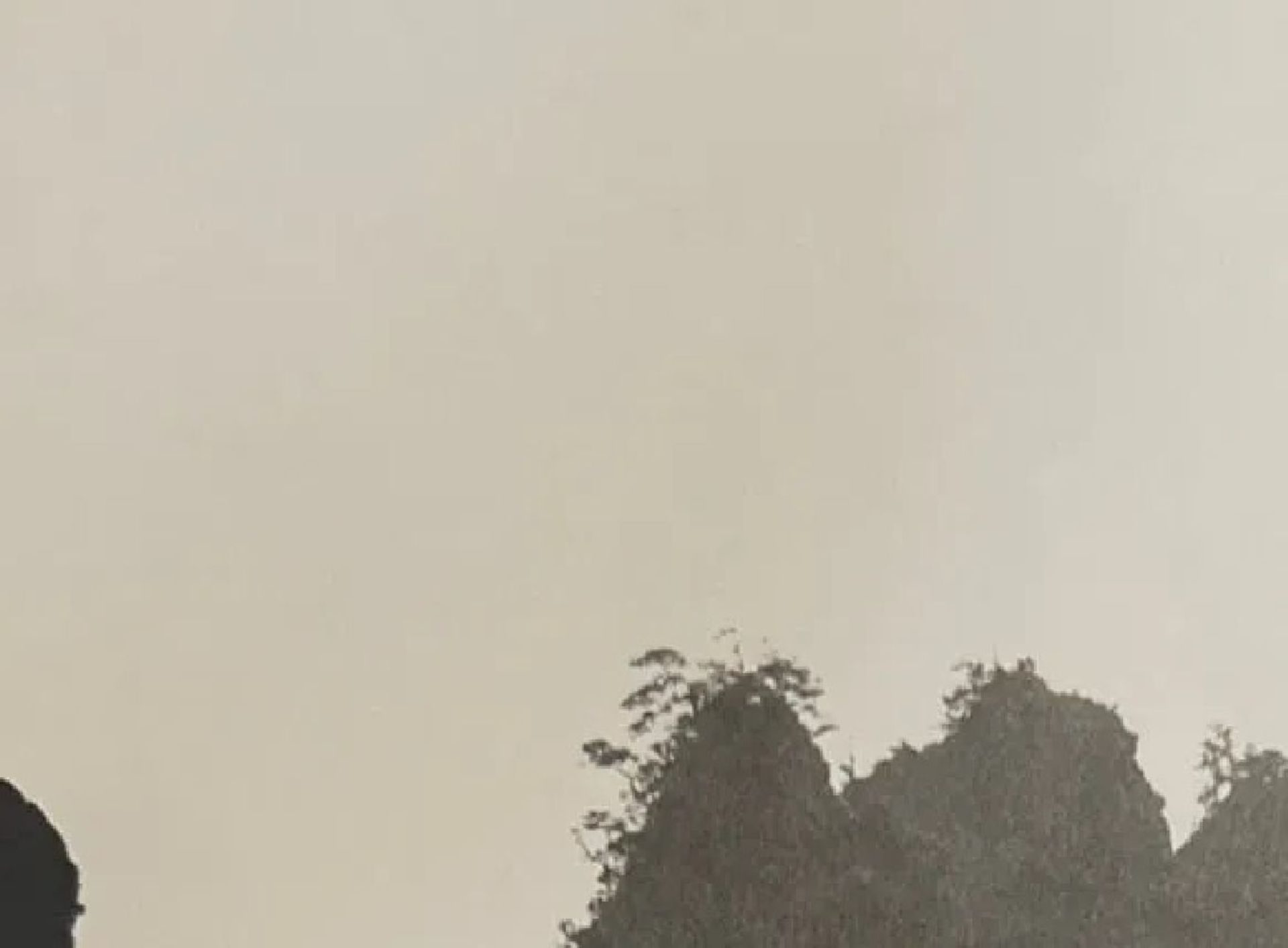 Irving Penn "Untitled" Print - Bild 2 aus 6