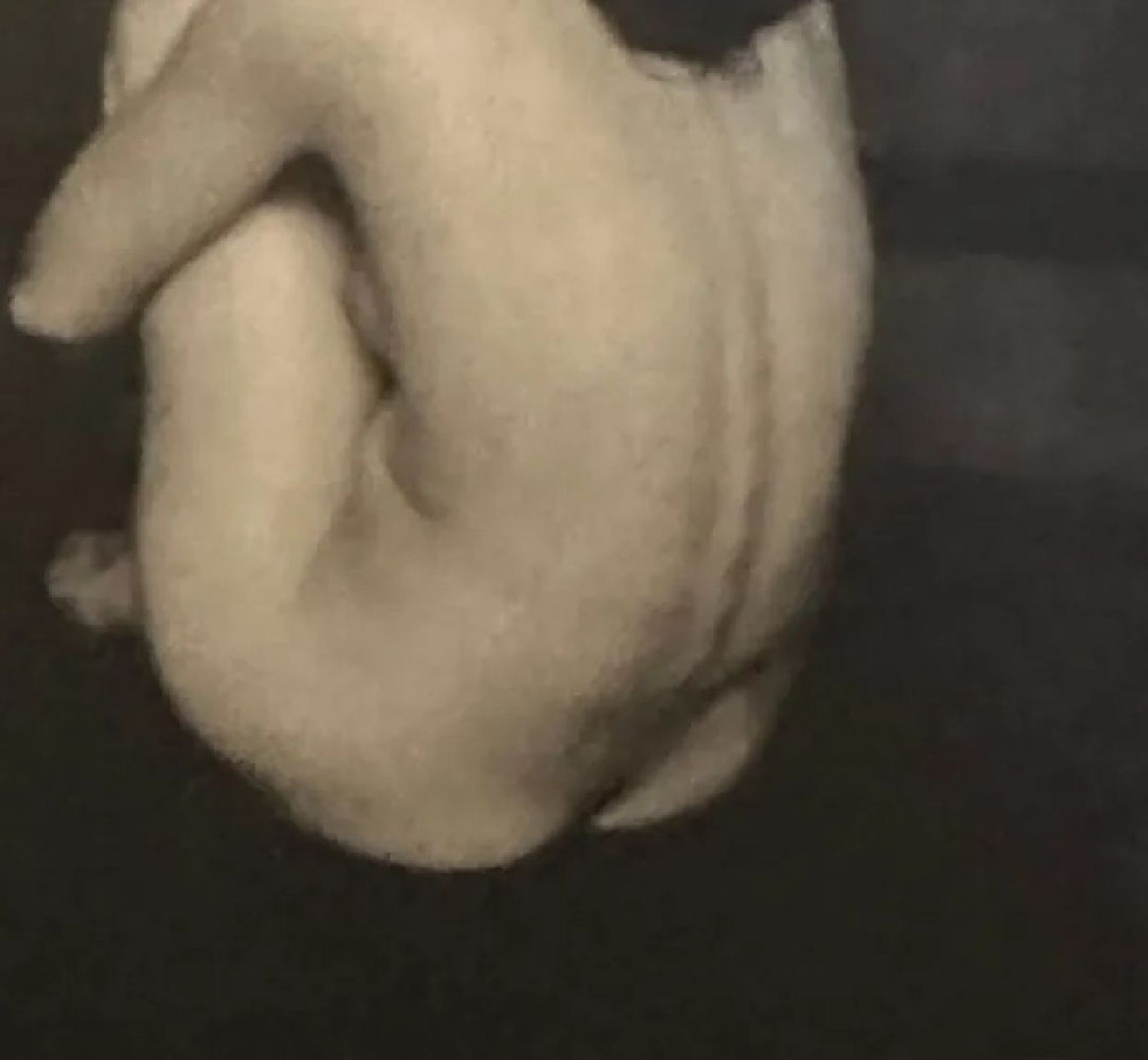 Edward Steichen "1925" Print - Bild 5 aus 6