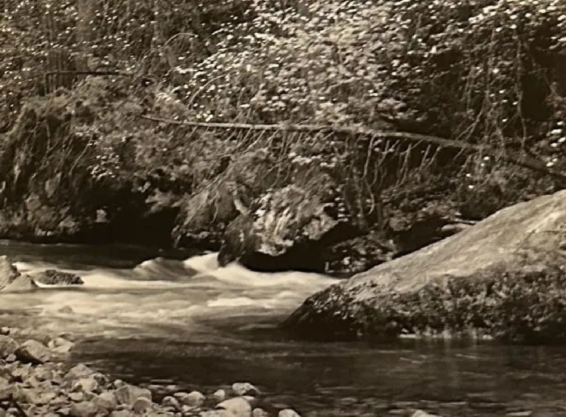 Ansel Adams "Tenaya Creek" Print - Bild 5 aus 6