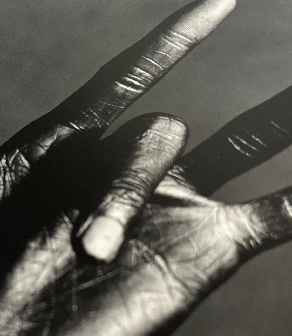 Irving Penn "Untitled" Print - Bild 6 aus 6