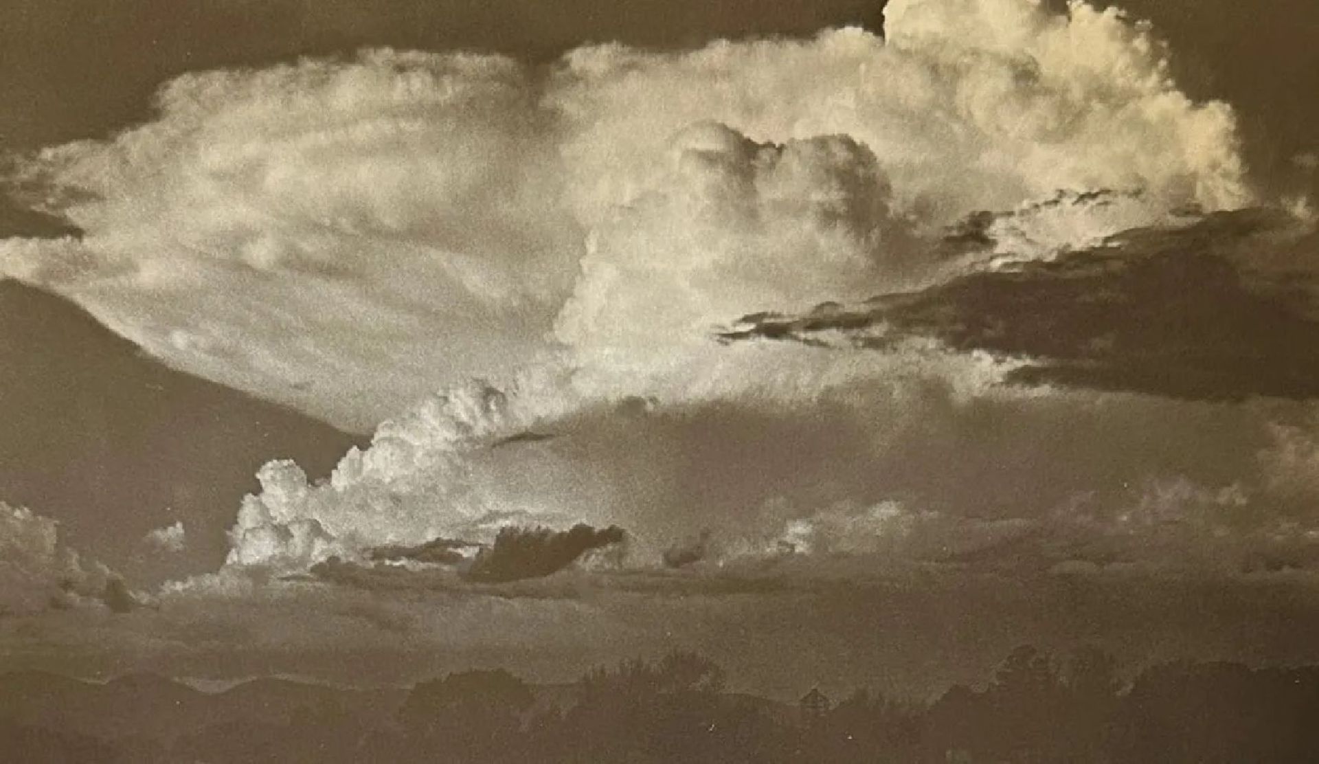 Edward Weston "Untitled" Print