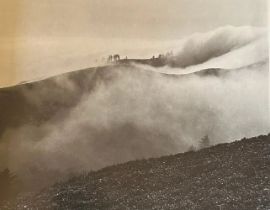 Edward Weston "Untitled" Print