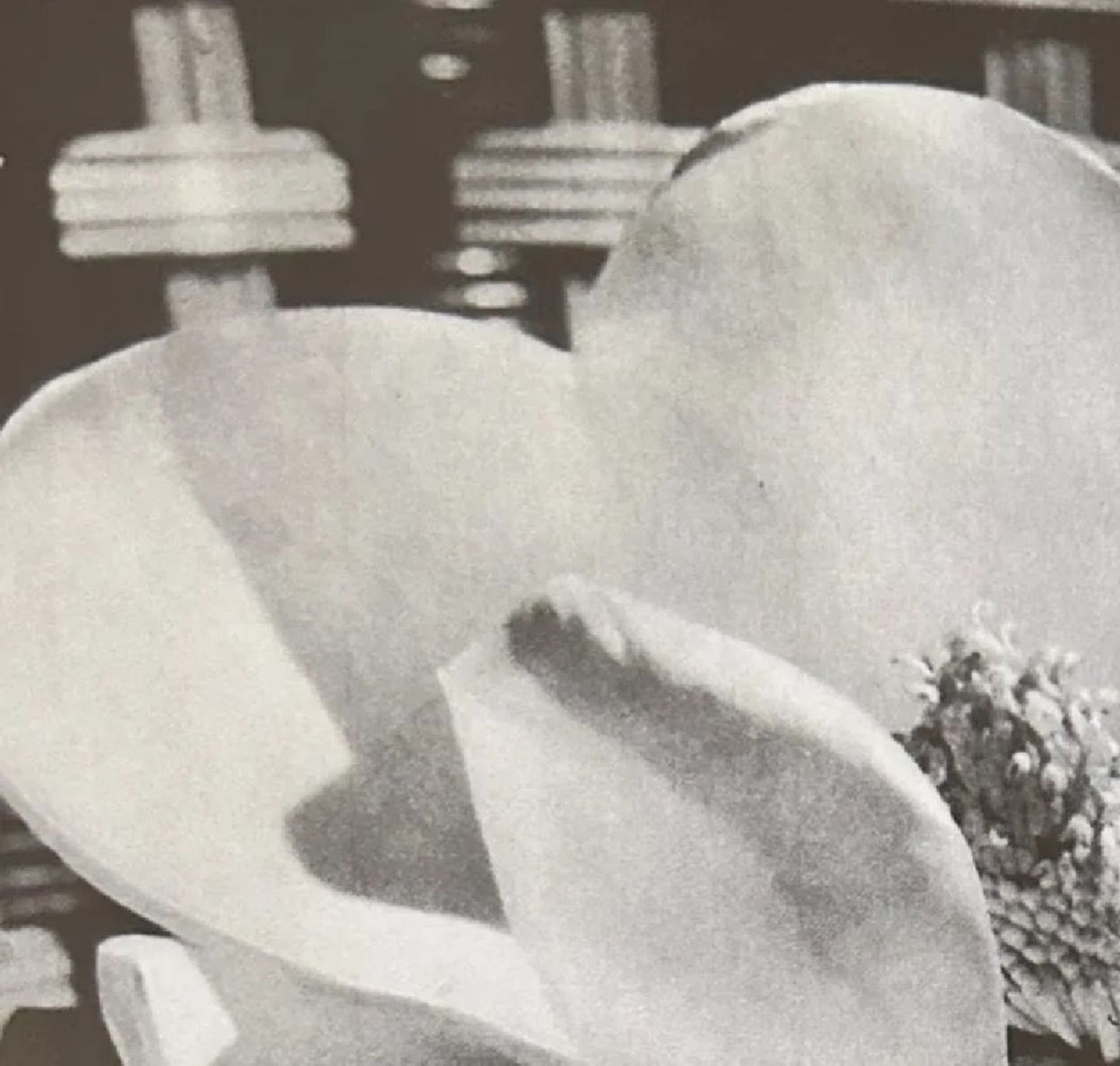 Man Ray "Untitled" Print - Bild 2 aus 5