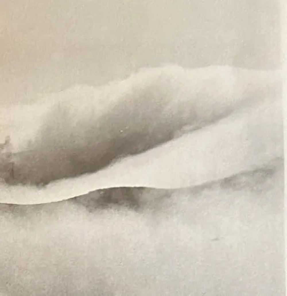 Edward Weston "Untitled" Print - Image 4 of 6