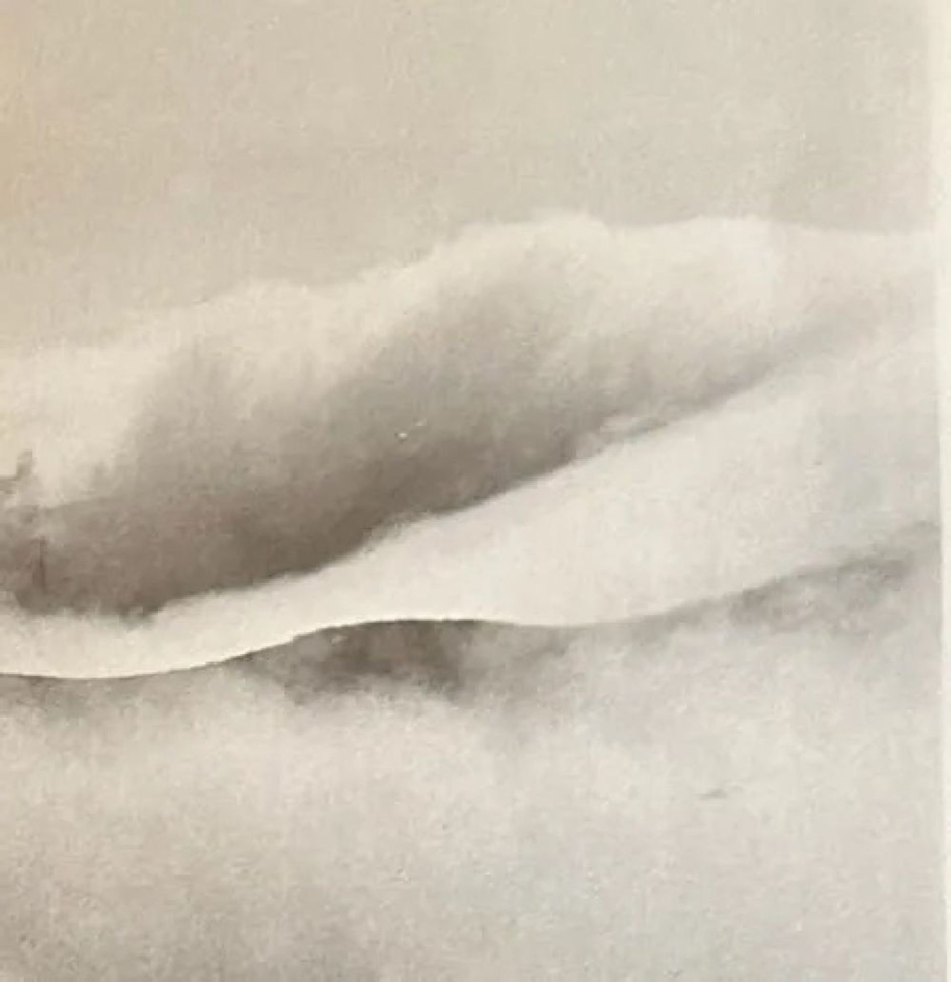 Edward Weston "Untitled" Print - Bild 4 aus 6