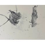 Jamie Wyeth "Untitled" Print