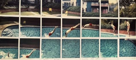 David Hockney "Jerry Diving" Photo print