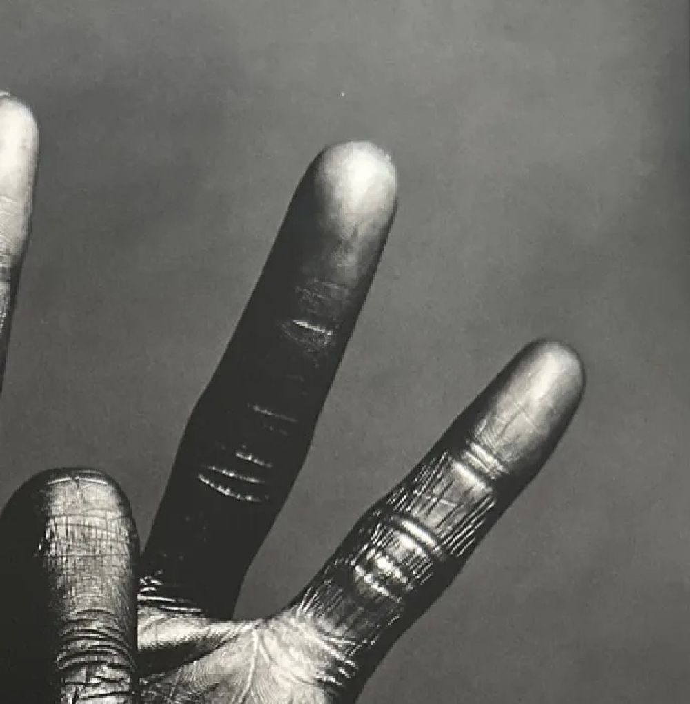 Irving Penn "Untitled" Print - Bild 4 aus 6