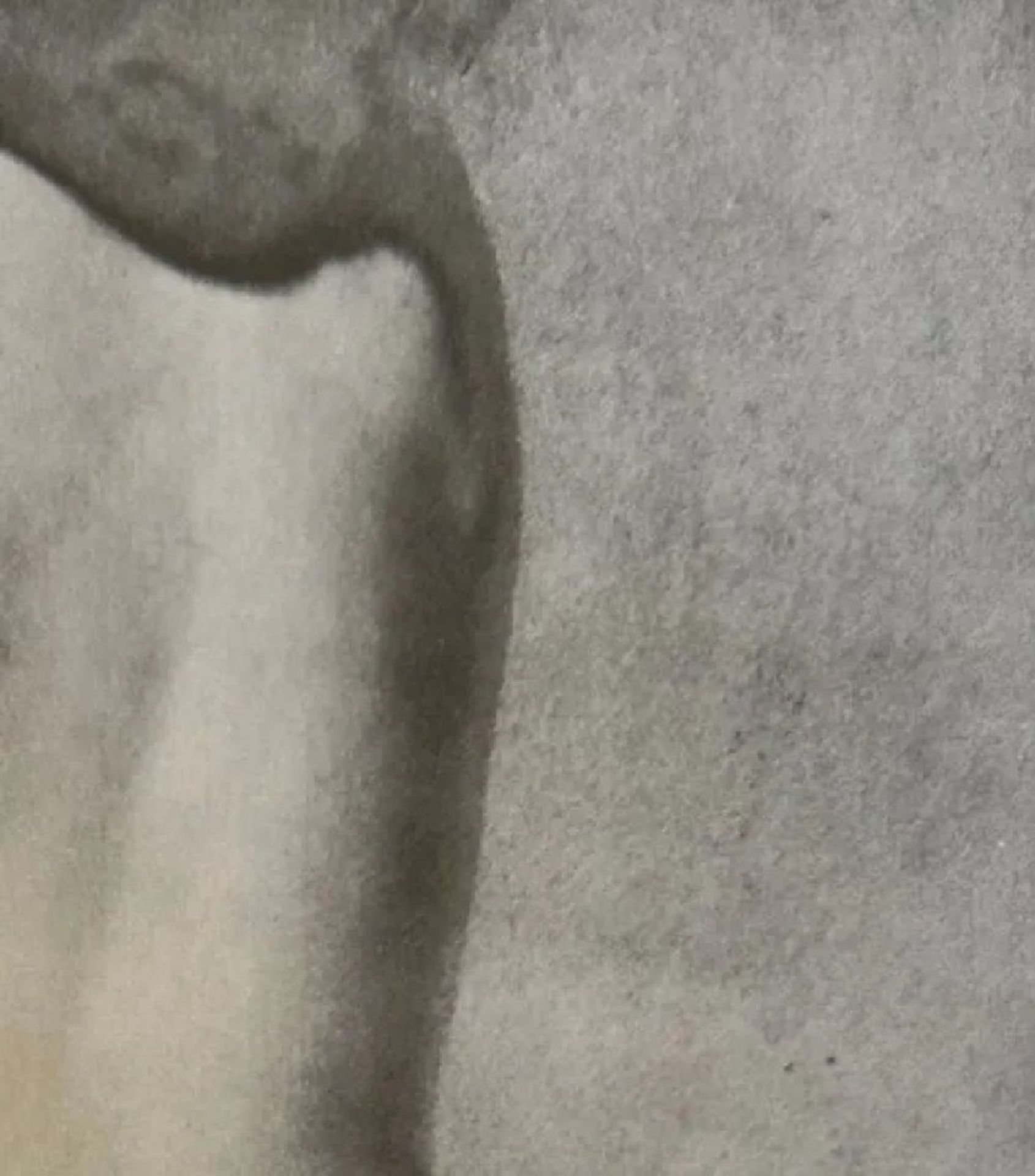 Man Ray "Untitled" Print - Bild 4 aus 5