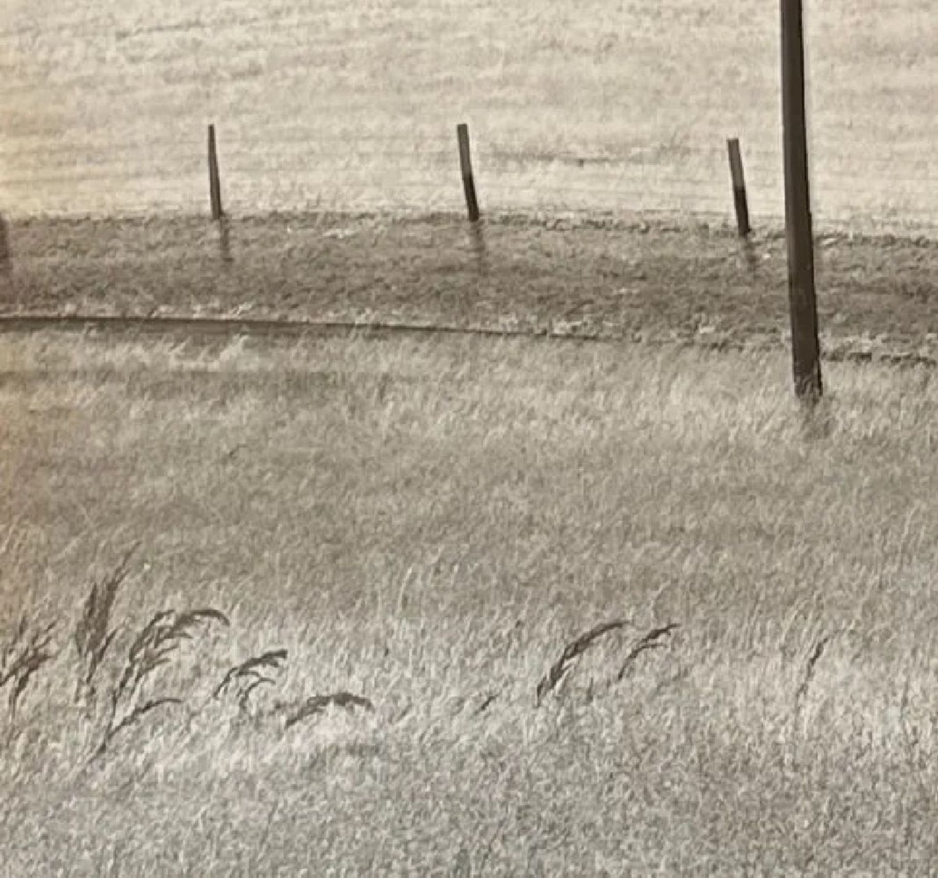 Edward Weston "Untitled" Print - Image 3 of 6