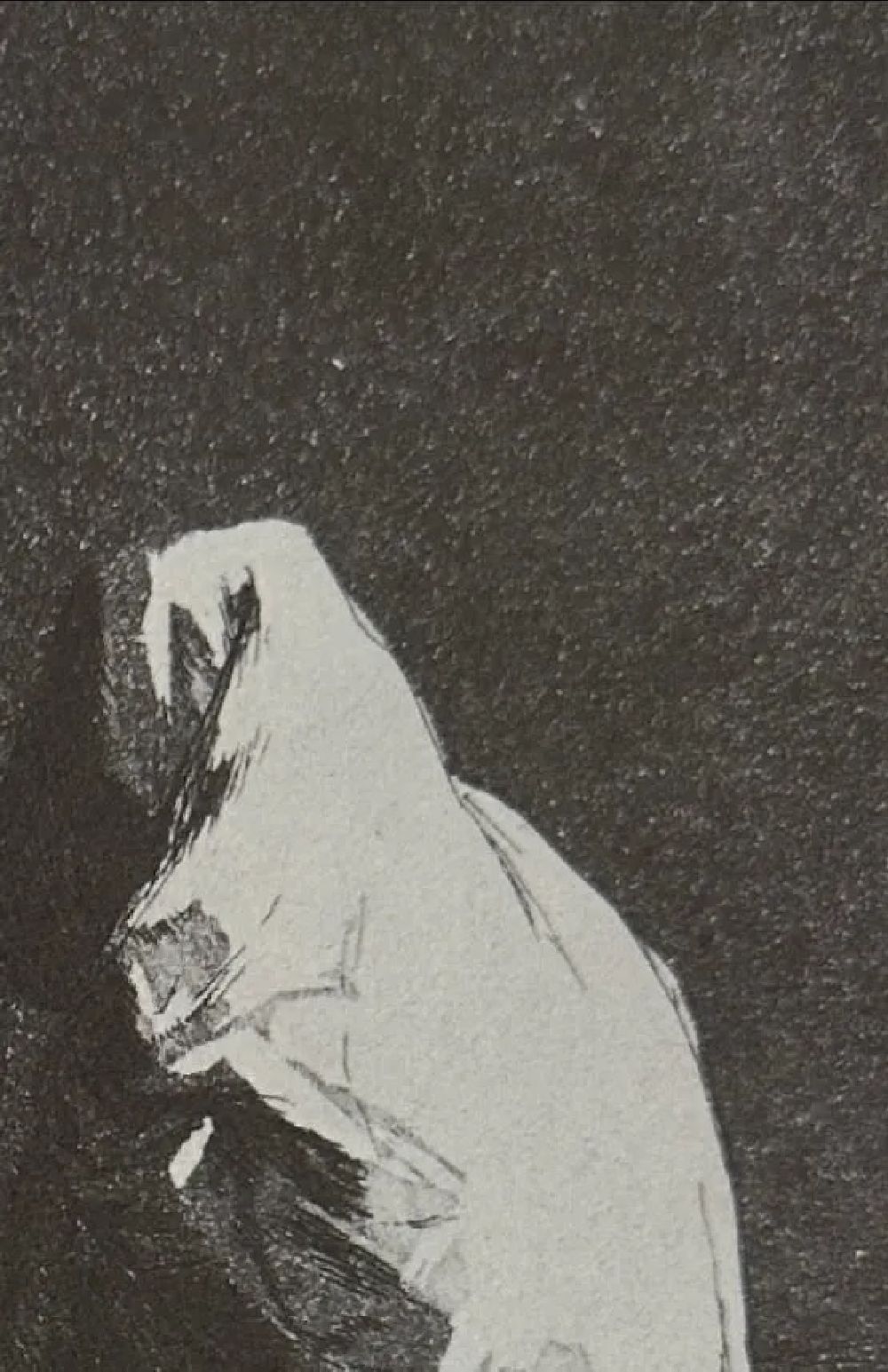 Francisco Goya "Untitled" Print - Image 4 of 6