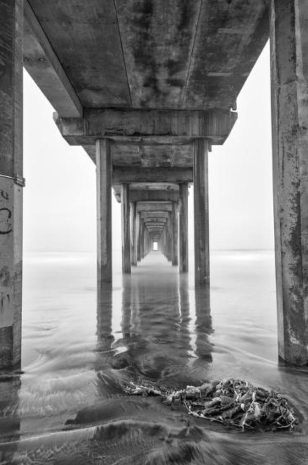 La Jolla, California, Scripps Pier Photo Print