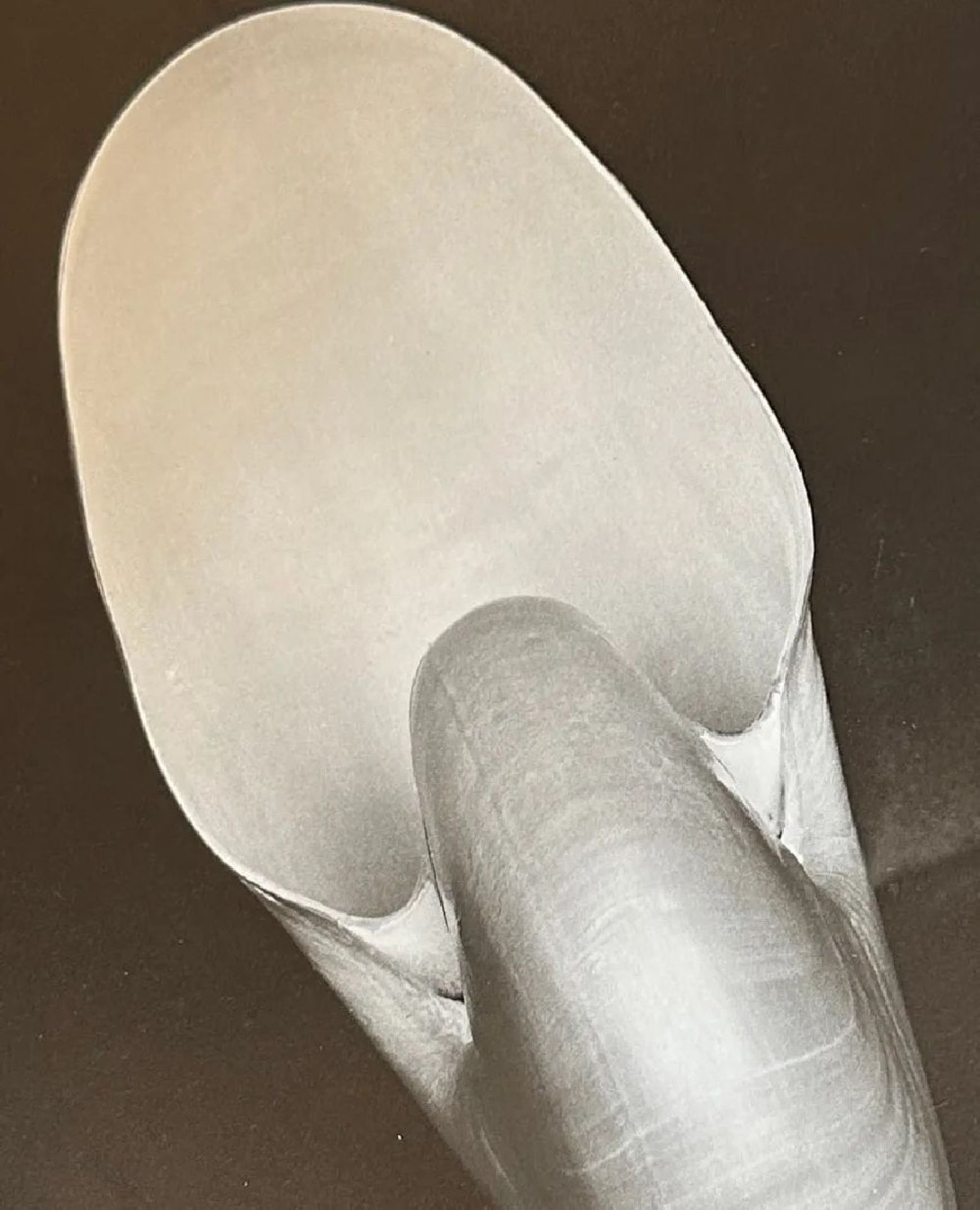 Edward Weston "Untitled" Print - Image 6 of 6