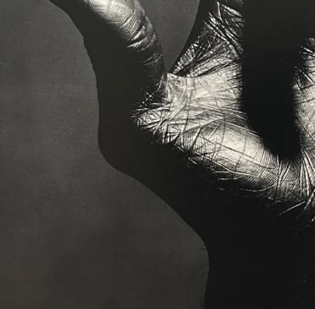 Irving Penn "Untitled" Print - Bild 3 aus 6