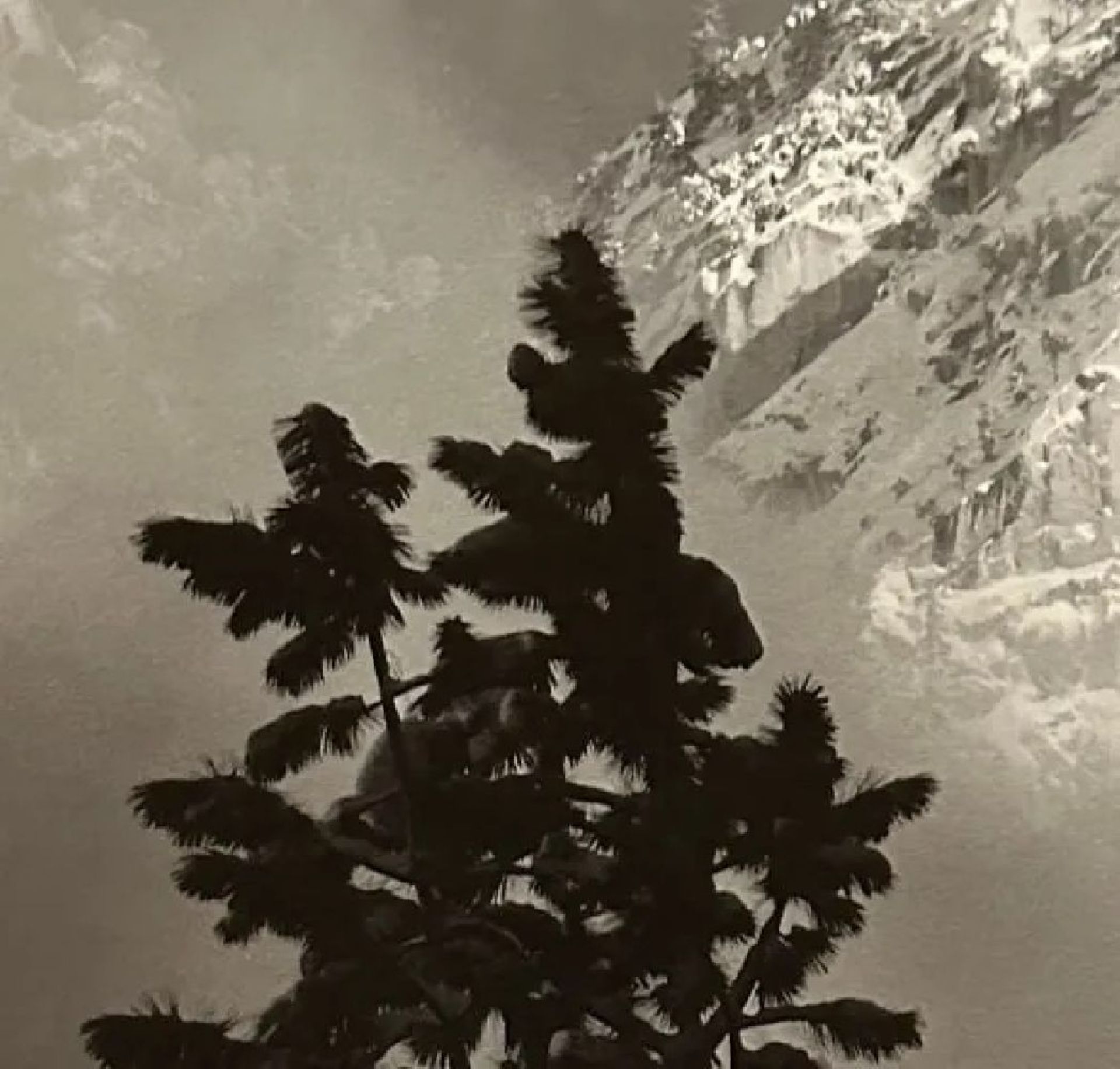 Ansel Adams "Eagle Peak" Print - Image 6 of 6