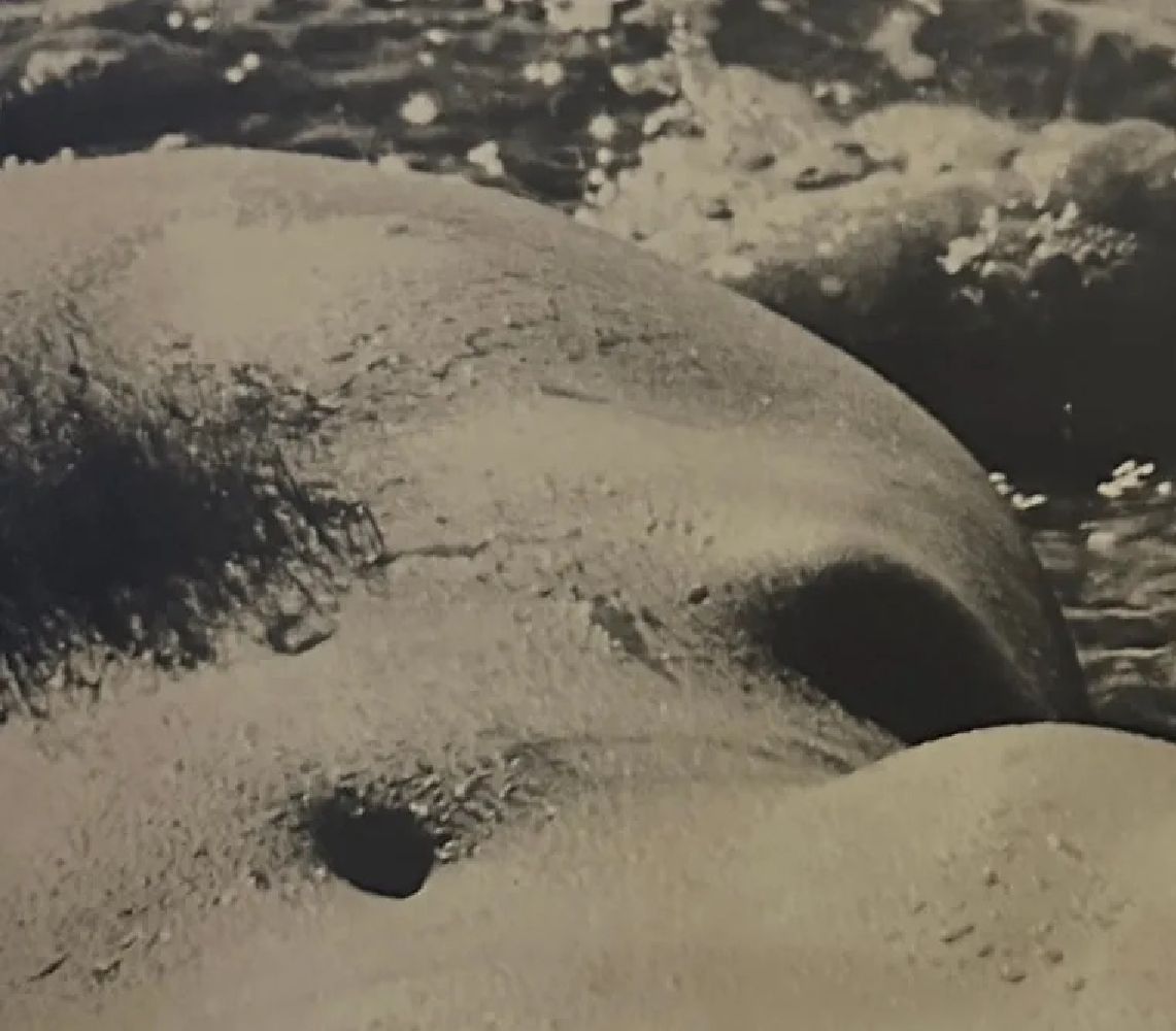 Lucien Clergue "Untitled" - Image 2 of 6