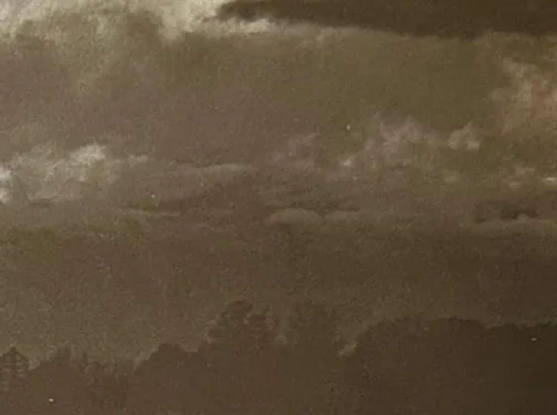 Edward Weston "Untitled" Print - Bild 5 aus 6