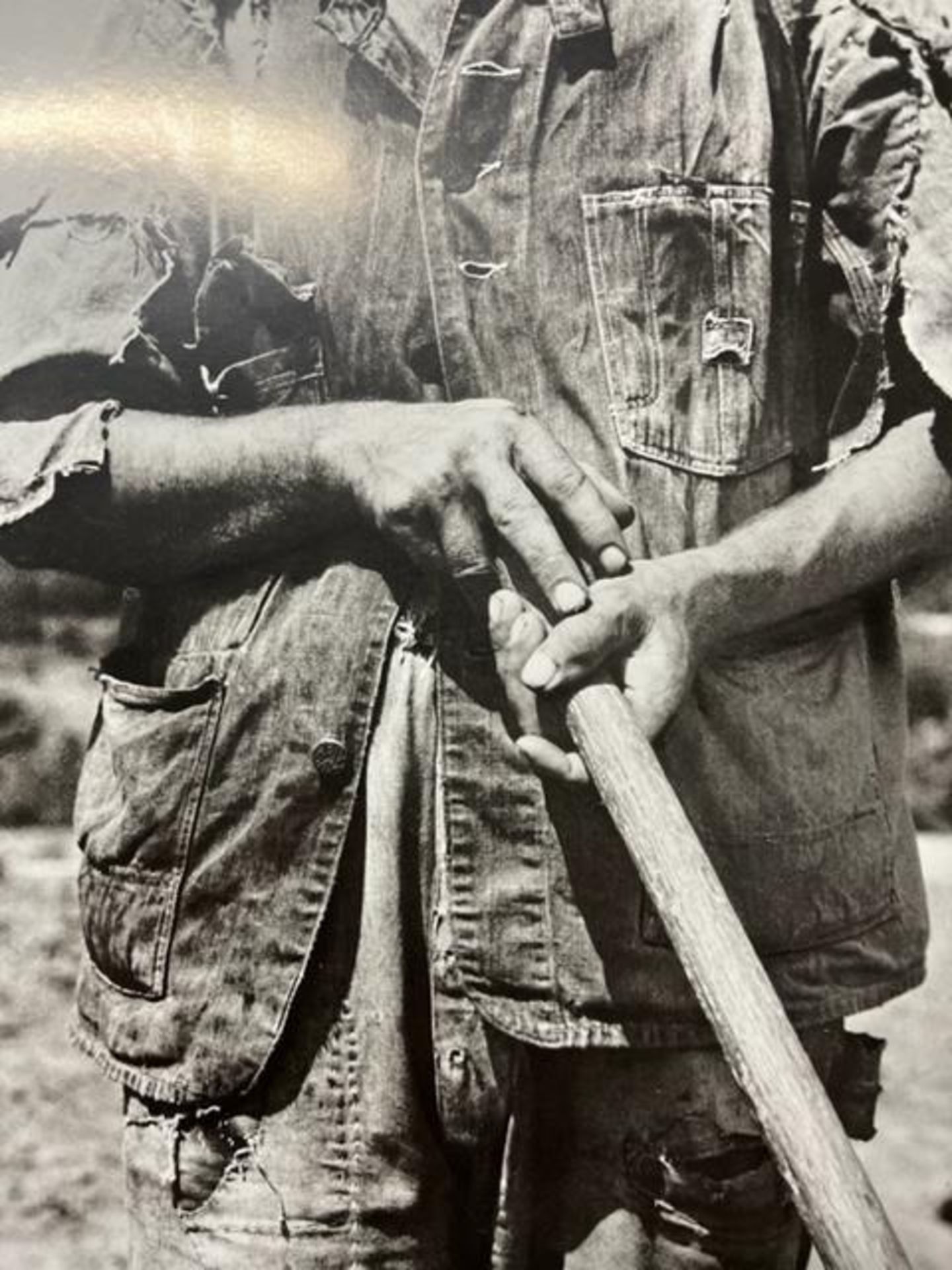 Dorothea Lange "Hoe Cutter" Print. - Bild 3 aus 6