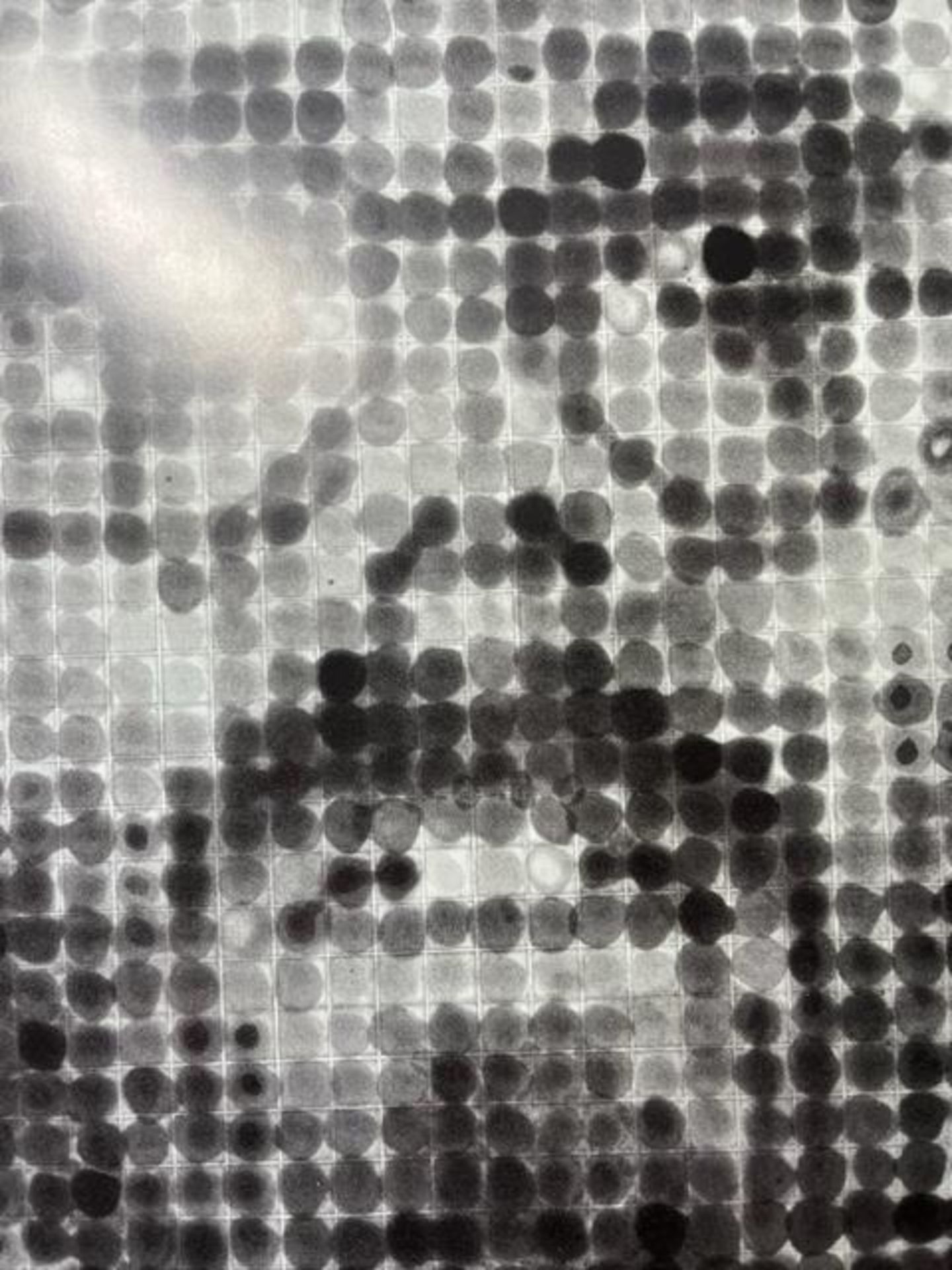 Chuck Close "Untitled" Print. - Image 4 of 6