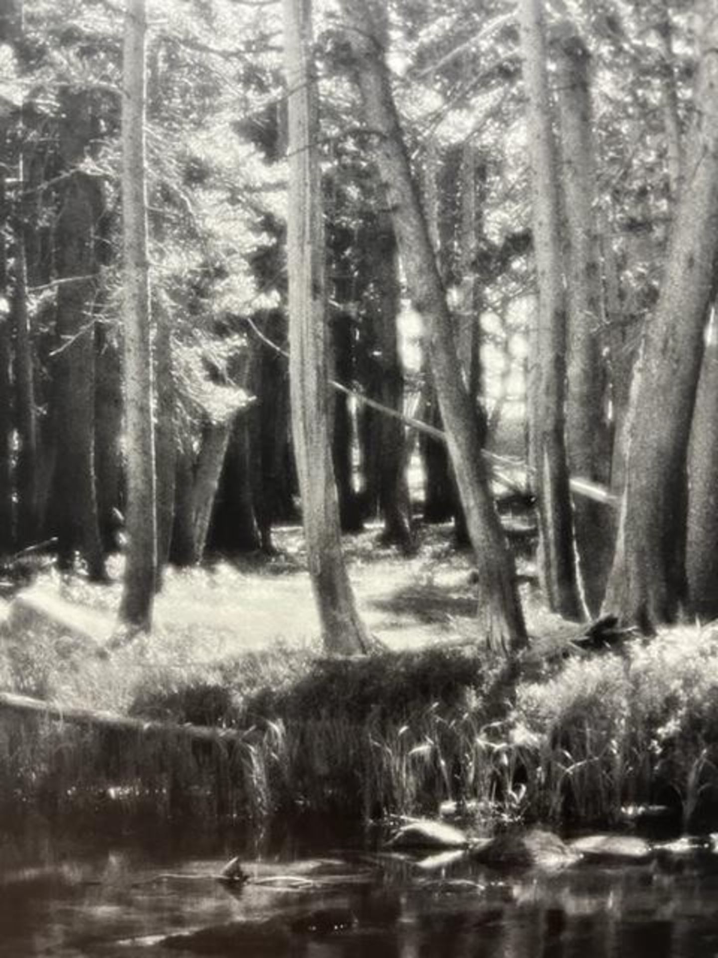Ansel Adams "Forest and Stream " Print. - Bild 2 aus 6