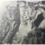 Jim Dine "Untitled" Print.