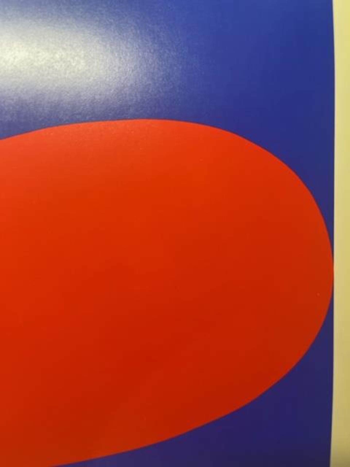 Ellsworth Kelly "Red Blue" Print. - Bild 5 aus 6
