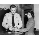 Rosa Parks "Fingerprint" Print