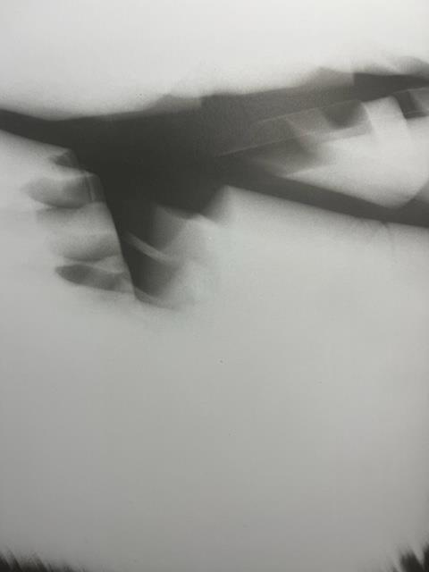 Shomei Tomatsu "Untitled" Print. - Bild 2 aus 6