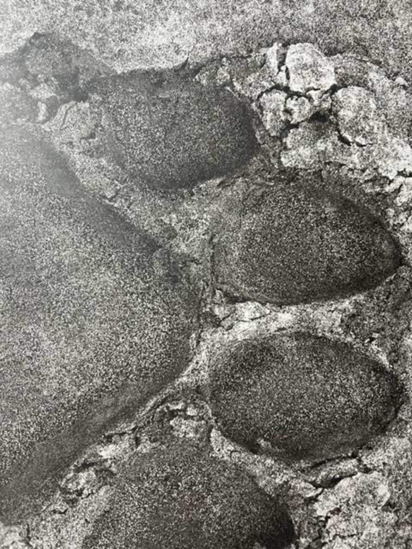 Herb Ritts "Untitled" Print. - Image 2 of 6