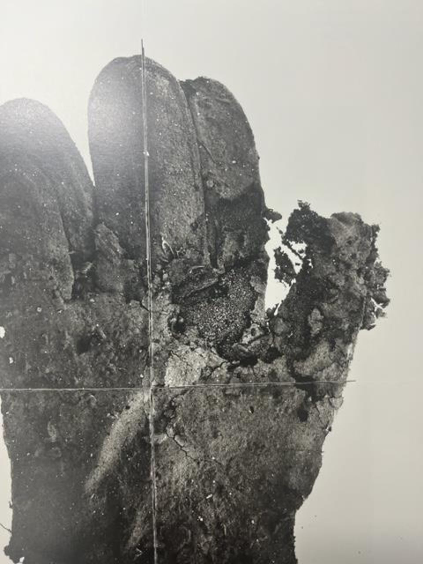 Irving Penn "Mud Gloove" Print. - Image 2 of 6