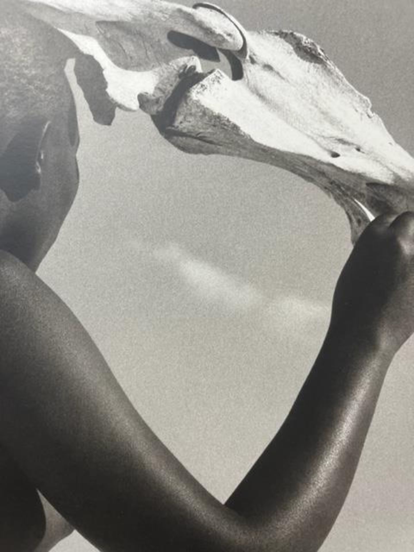 Herb Ritts "Untitled" Print. - Image 6 of 6