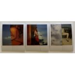 Nobuyoshi Araki Set of Three Polaroid Prints, Untitled