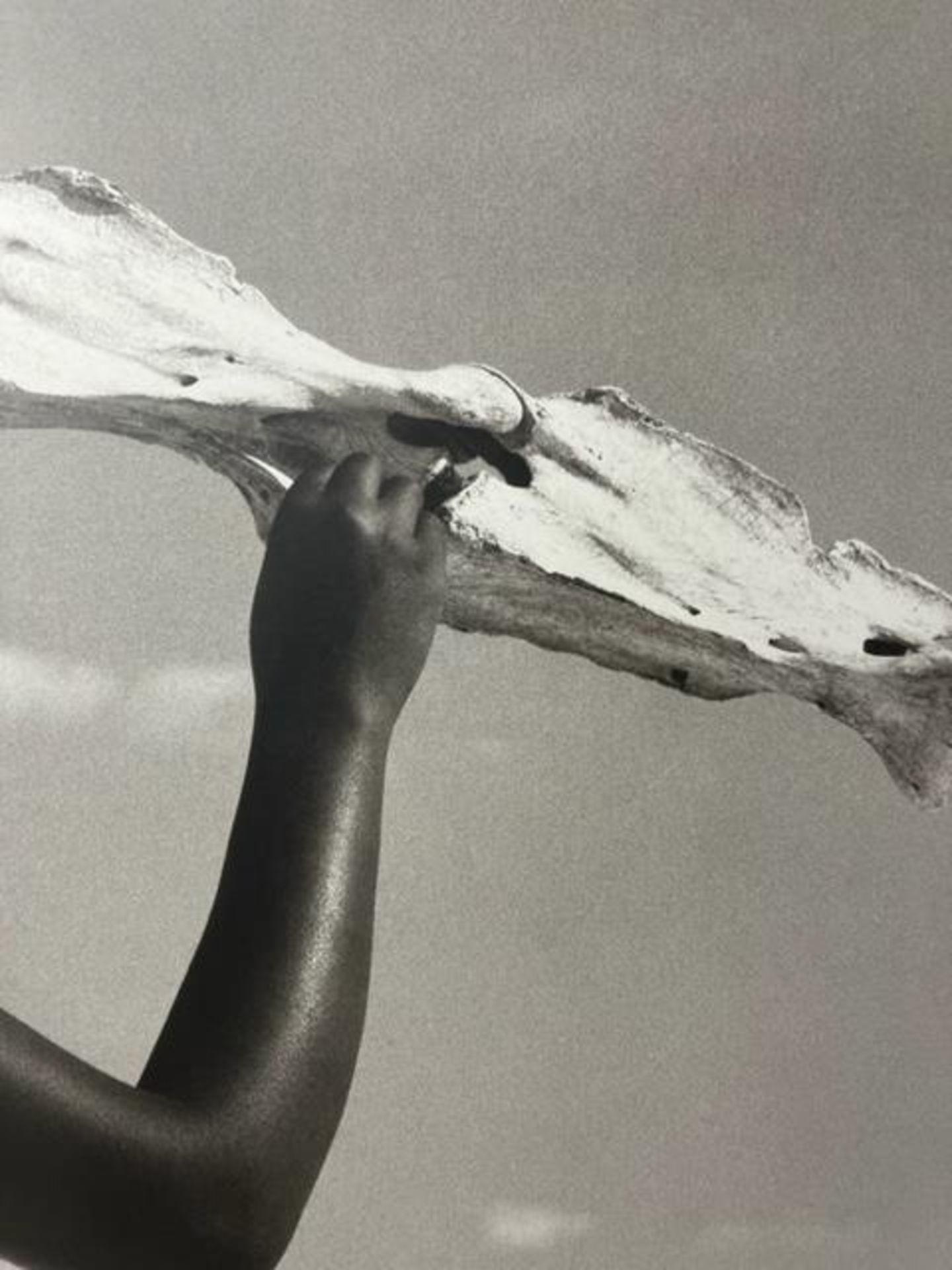 Herb Ritts "Untitled" Print. - Image 2 of 6