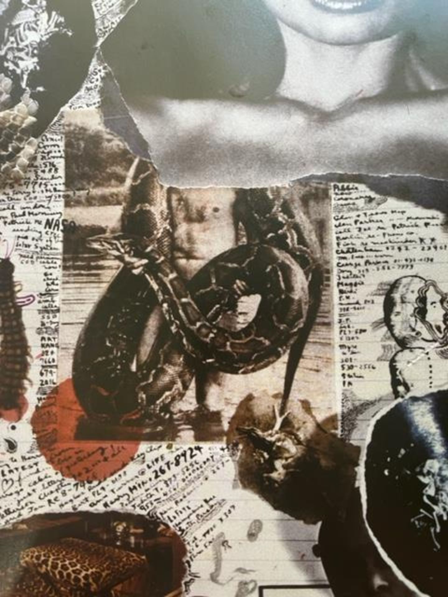 Peter Beard "Untitled" Print. - Image 4 of 6