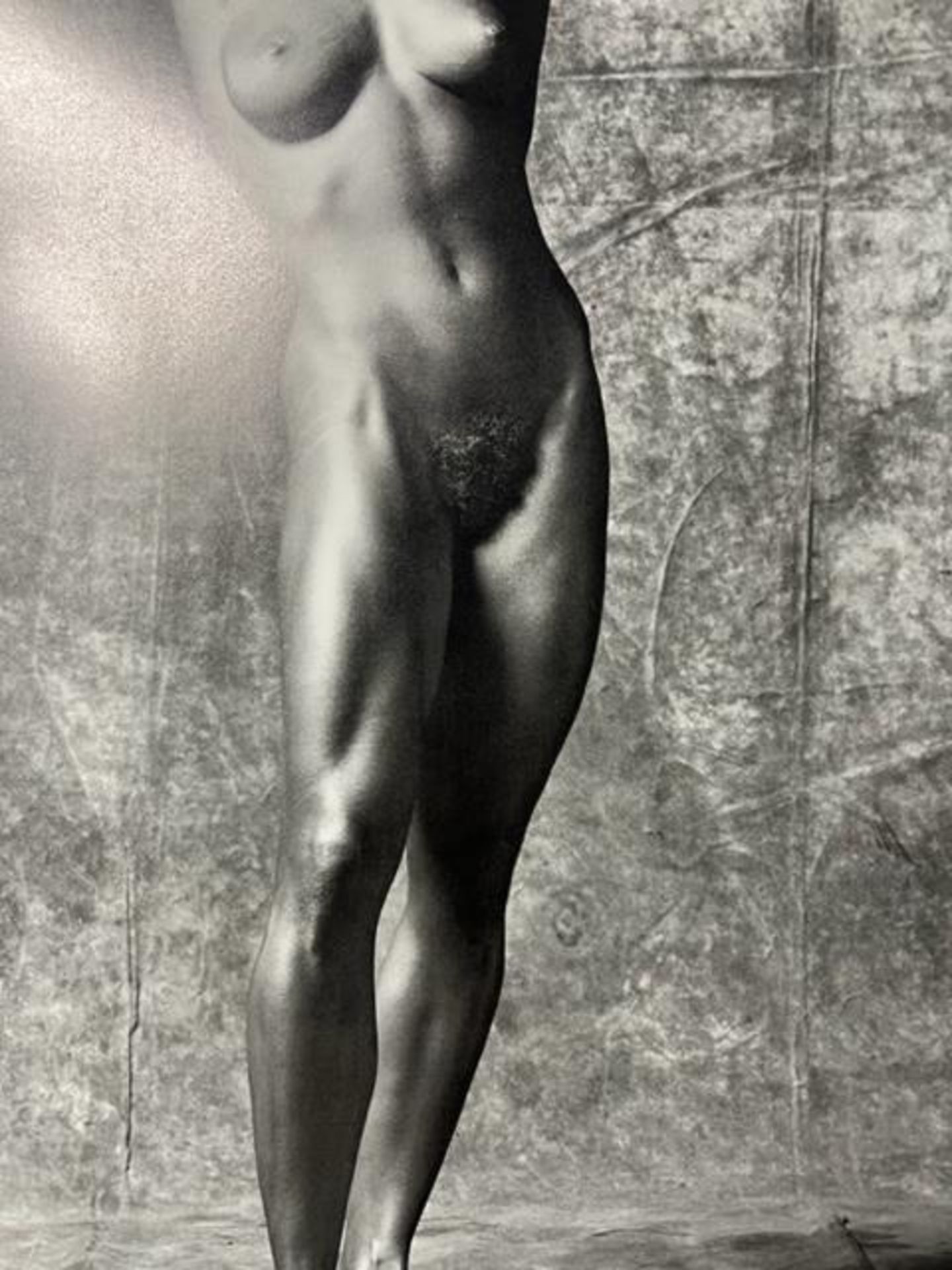 Robert Mapplethorpe "Lisa Lyon" Print. - Bild 2 aus 6