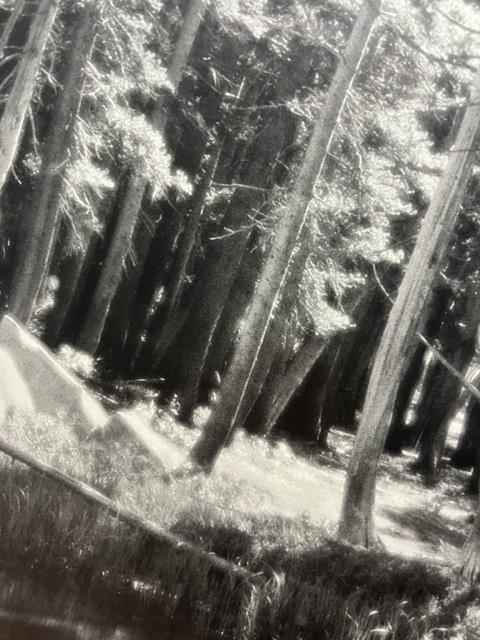 Ansel Adams "Forest and Stream " Print. - Image 6 of 6