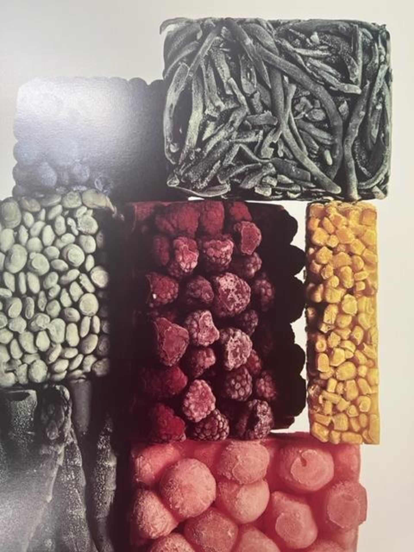 Irving Penn "Frozen Foods" Print. - Image 2 of 6
