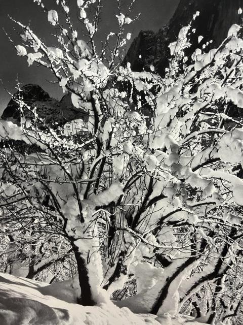 Ansel Adams "Half Dome, Orchard, Winter" Print. - Image 6 of 6
