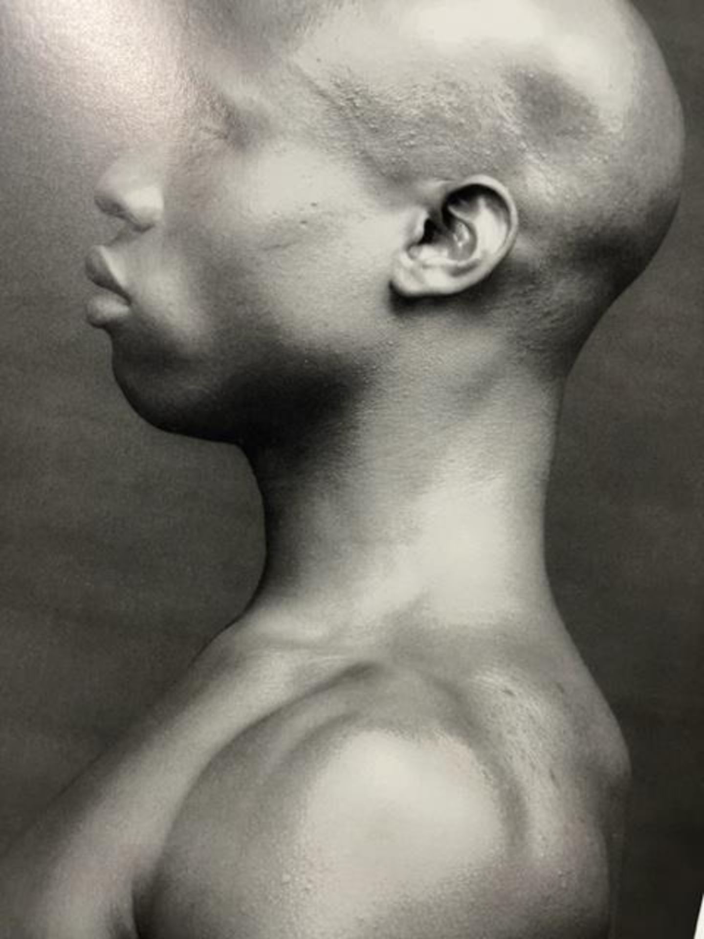 Robert Mapplethorpe "Untitled" Print. - Bild 6 aus 6