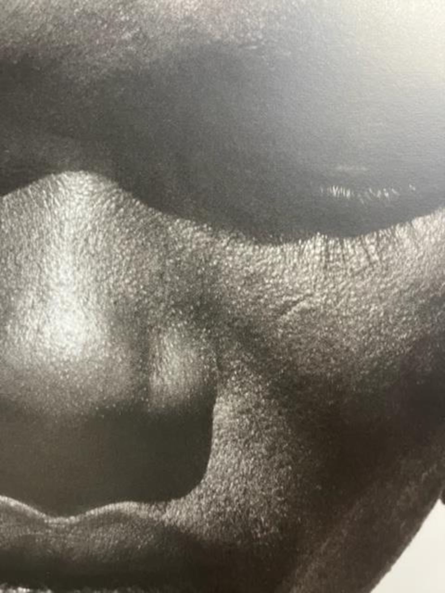 Herb Ritts "Untitled" Print. - Image 3 of 6