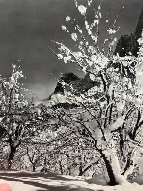 Ansel Adams "Half Dome, Orchard, Winter" Print. - Image 3 of 6