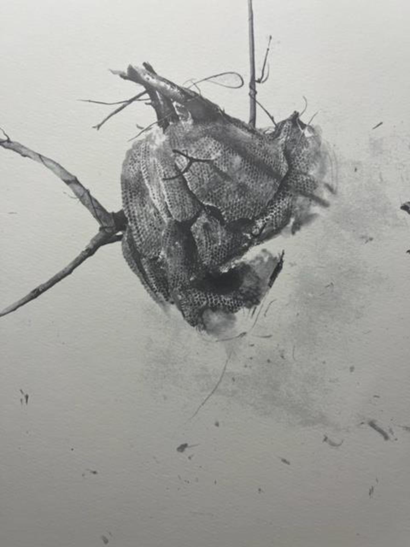 Andrew Wyeth "Storing Up" Print. - Image 3 of 6