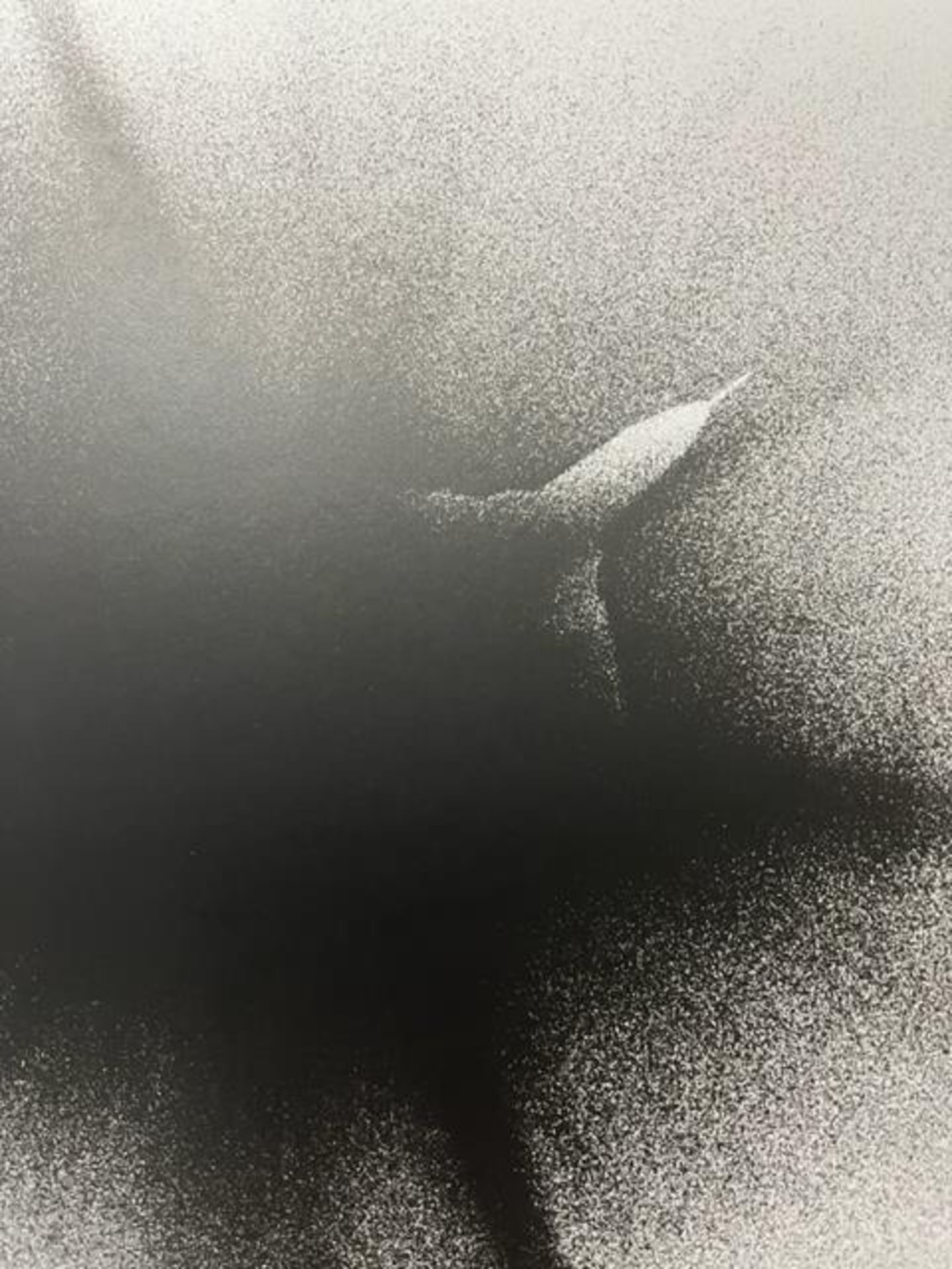 Shomei Tomatsu "Untitled" Print. - Image 5 of 6