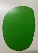 Ellsworth Kelly "Green (Vert)" Print.