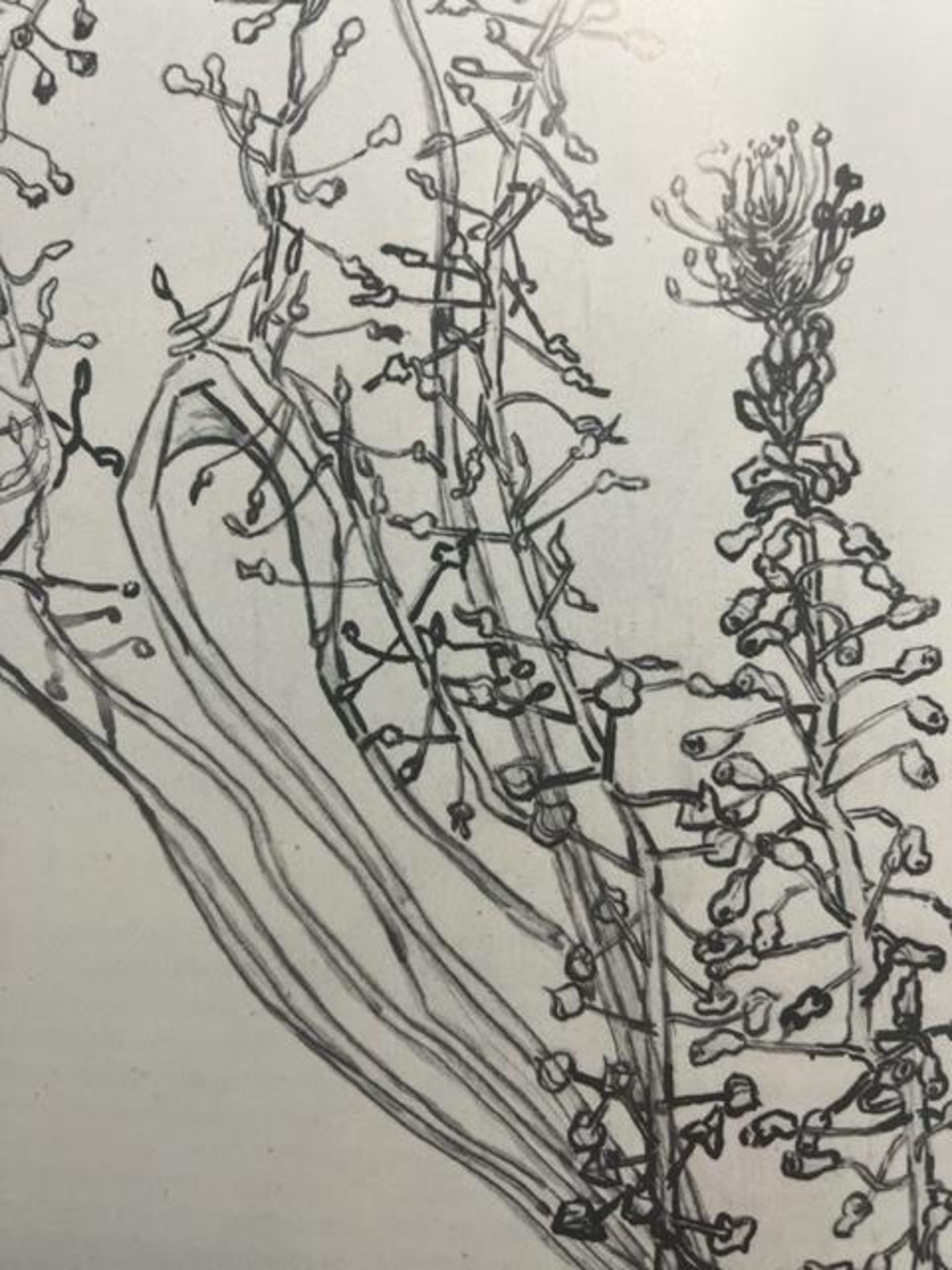 Vincent van Gogh "Flowering Stems" Print. - Image 5 of 6