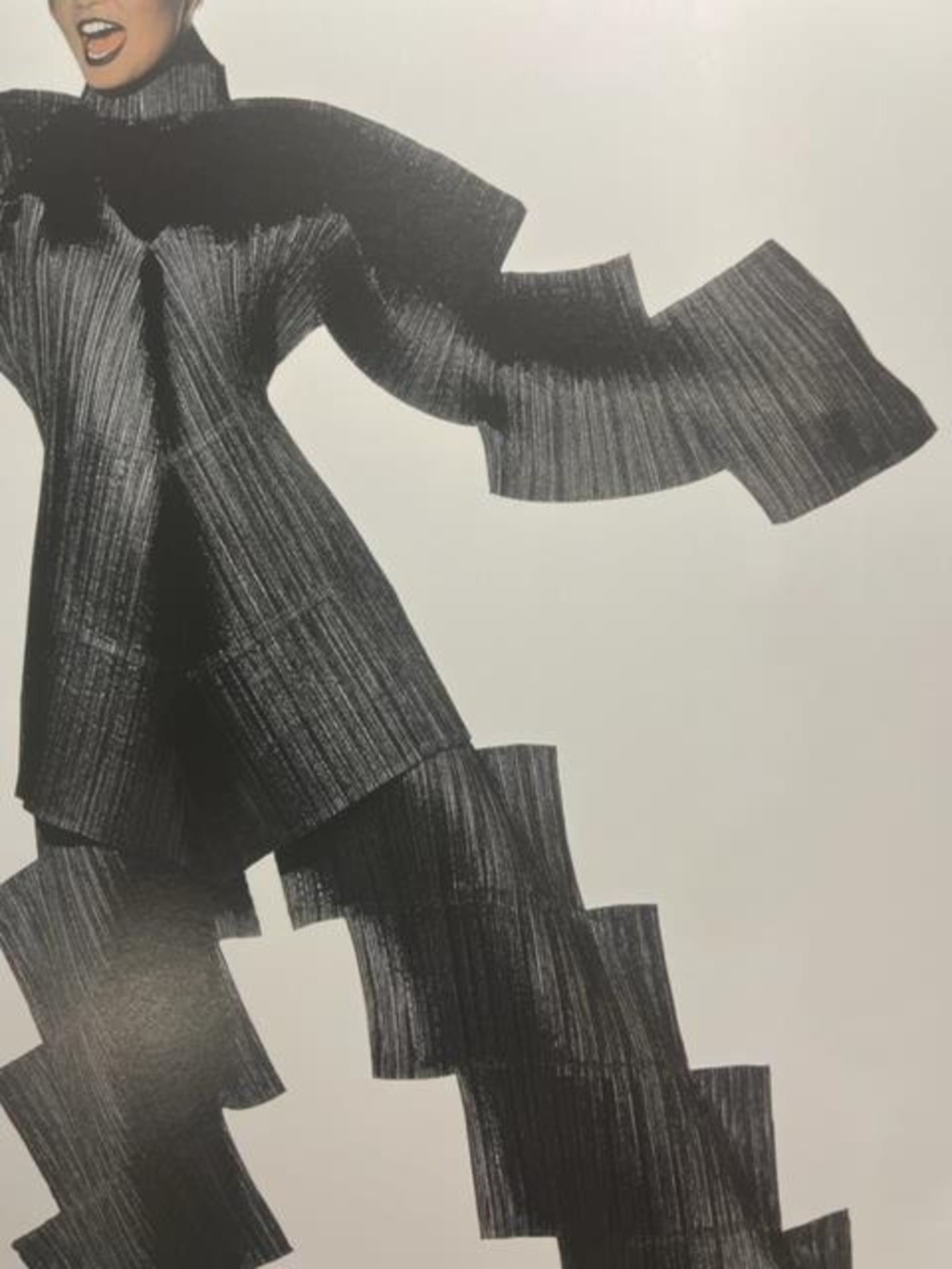 Irving Penn "Staircase Pleats" Print. - Image 5 of 6