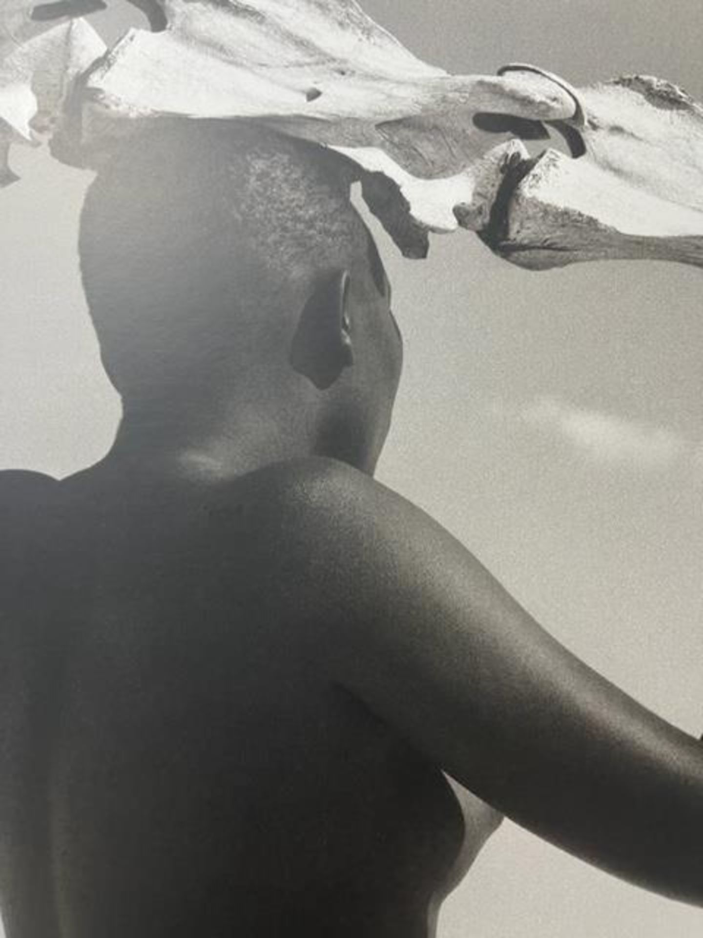 Herb Ritts "Untitled" Print. - Image 4 of 6