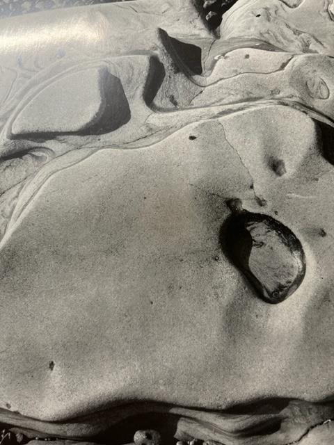 Edward Weston "Cypress" Print. - Image 3 of 6