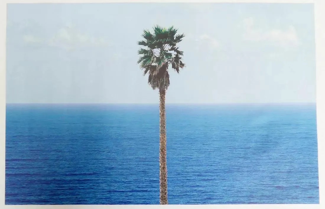 John Baldessari "Palm Tree" Offset Lithograph