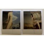 Nobuyoshi Araki Set of Two Polaroid Prints, Untitled
